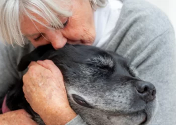 Idosos com cachorro têm 40% menos chances de demência, diz estudo