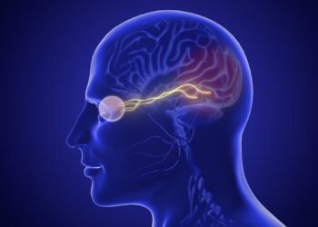 Sinais precoces de Alzheimer podem começar pelos olhos, sugere estudo; veja o que isso significa