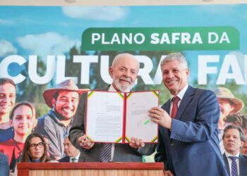 Ministro do Desenvolvimento Agrário diz que leilão do arroz ainda não foi descartado