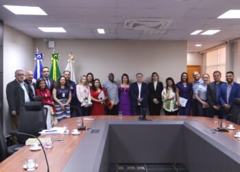 Comitê de Amparo e Proteção da Pessoa Idosa realiza primeira reunião para debater a implementação da RENADI-MT