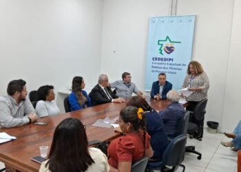 Governo de Mato Grosso nomeia novos conselheiros e mesa diretora do CEDEDIPI para o Biênio 2024-2026