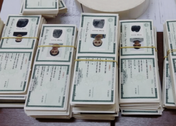 Carteira do Idoso de 2024: benefícios a partir dos 60 anos