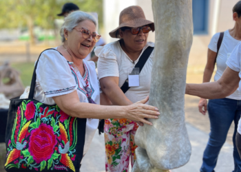 Museu de História Natural de MT oferece atividades inclusivas em programação de evento nacional