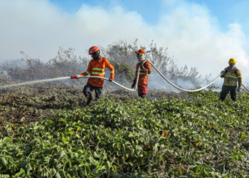 Mais de mil bombeiros combatem 49 incêndios florestais em MT