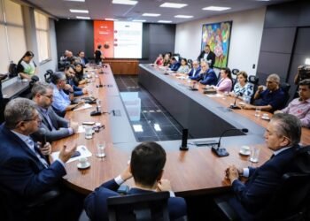 Levantamento do TCE-MT aponta inatividade em Conselhos da Pessoa Idosa de 44 municípios