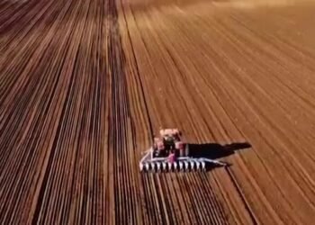 Brasil: a potência do Agronegócio que alimenta o mundo
