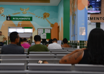 DPEMT registrou 230 atendimentos relacionados a realização de exames de DNA em 2024