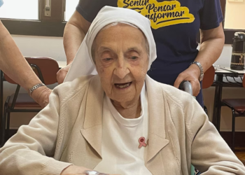 O que explica a longevidade excepcional? Brasileiros criam minicérebros mais complexos para entender