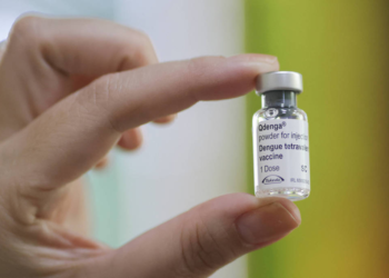 Saiba quem pode tomar a vacina contra a dengue em 2025 no SUS e na rede particular