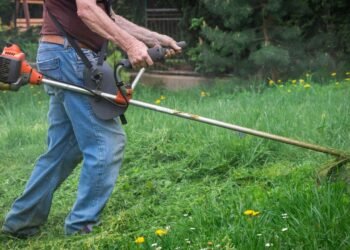 Com quase 70 anos, trabalhador celebra revisão da aposentadoria e ressignifica a vida por meio da jardinagem