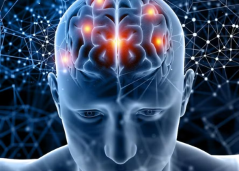 Pesquisadores descobrem a idade exata em que o cérebro começa a envelhecer mais rápido; saiba qual é