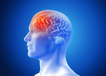 Derrame: conheça 8 maneiras de reduzir o risco de sofrer um AVC (não importa sua idade)