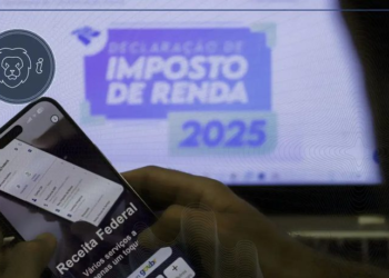 INSS: informe de rendimentos e declaração pré-preenchida do IR já estão disponíveis