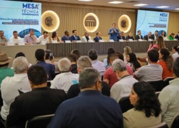 Com 60% dos servidores endividados, TCE-MT propõe teto legal para consignados e revisão de decreto estadual