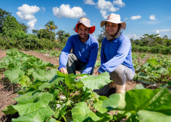 Governo de MT investiu R$ 720 milhões na agricultura familiar