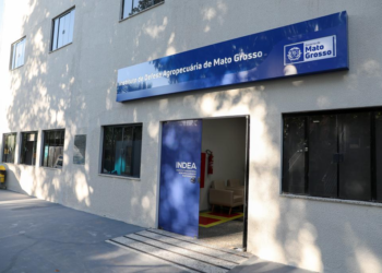 Exame descarta suspeita de gripe aviária em Mato Grosso