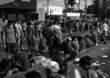 Opinião – Imigrantes em alta