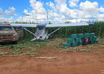 Mato Grosso é segundo estado do país que mais apreendeu cocaína em 2024, aponta Mapa da Segurança Pública