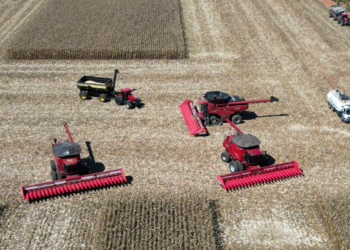 Mato Grosso dá início à colheita da segunda safra nacional de milho