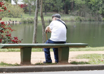 Proteção às mulheres e aos idosos marca votações do Senado no semestre