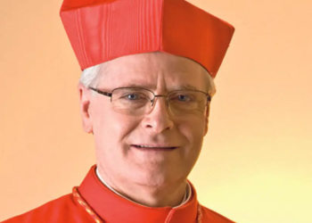 Os idosos: sinais de esperança