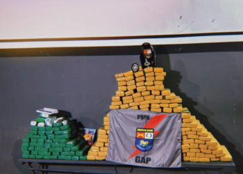 Polícia Militar apreende 250 quilos de maconha dentro de residência em Várzea Grande