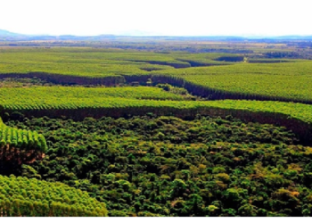 Setor produtivo pede que Presidente sancione integralmente novo marco do licenciamento