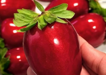 Morango da ansiedade: profissionais da Rede Ebserh alertam sobre riscos da moda