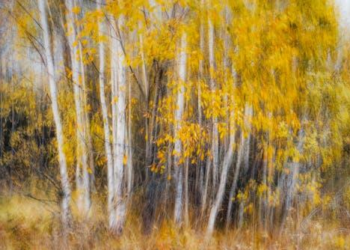 Projeto sobre direitos dos idosos no Congresso Nacional não avança