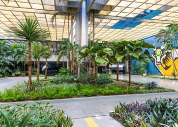 Governo de MT publica decreto com novas regras para os consignados