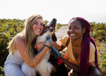 Interação com cães causa benefícios para a saúde e o bem-estar; conheça