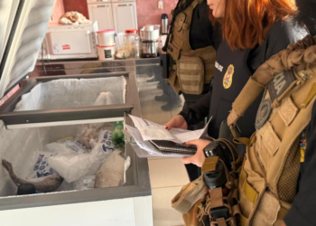 Polícia Civil deflagra operação para combater comércio ilegal na Feira do Porto e apreende três toneladas de pescado