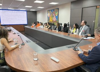 DPEMT debate formas de atuação na Rede Nacional de Amparo à Pessoa Idosa