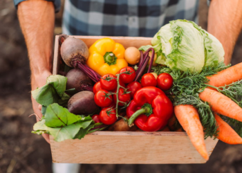 Esses alimentos estão transformando a saúde dos idosos no Brasil
