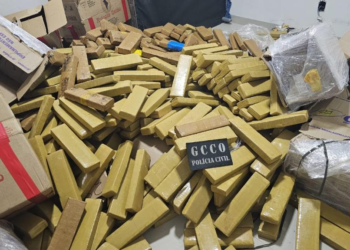 Apreensões de drogas em 2025 geram prejuízo de R$ 574 milhões às facções criminosas