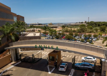 Anvisa proíbe venda de produtos de cannabis e cogumelos