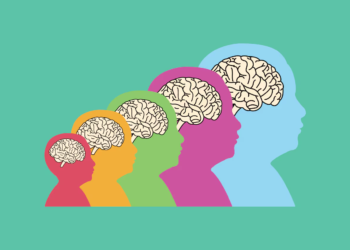 O cérebro em todas as idades: o que muda da infância à velhice nas fases críticas do desenvolvimento