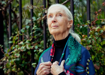 O que a cientista Jane Goodall nos ensinou sobre viver uma vida longa