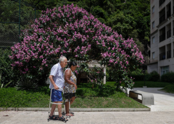 Mulheres são 92% dos cuidadores de idosos no Brasil