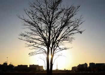 Cientista alerta para risco de aquecimento global por longo tempo