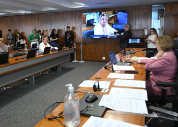 CDH aprova projeto que reforça habitação adequada em asilos