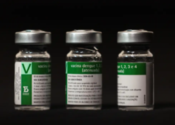 Aplicação da vacina da dengue do Butantan começará a partir do dia 17