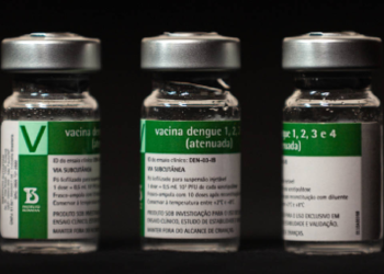 Butantan recruta voluntários para testar vacina da dengue em idosos