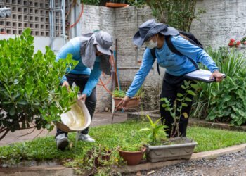 Cuiabá registra queda expressiva nos casos de Dengue e Chikungunya em 2026