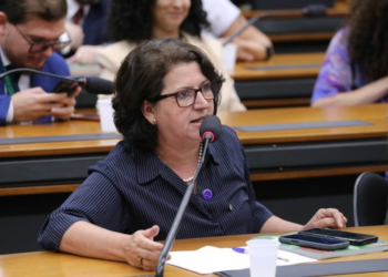 Comissão aprova proposta de serviço de atendimento domiciliar a pessoa idosa