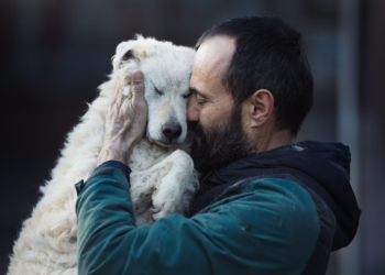 Ter um cachorro favorece a longevidade?