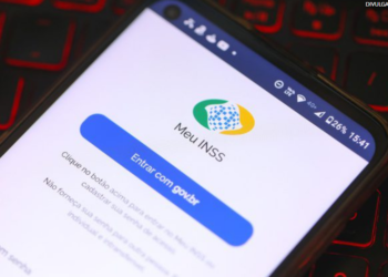 Saiba como acessar o extrato do Imposto de Renda no aplicativo Meu INSS