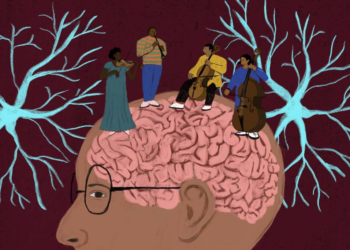 Por que o cérebro de algumas pessoas não envelhece?