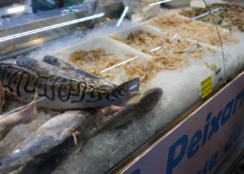 Vigilância Sanitária orienta sobre compra de pescado na Semana Santa