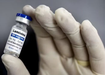 Polilaminina: o que se sabe até agora sobre o medicamento para tratar lesão na medula